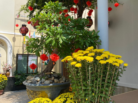 圣约瑟夫教区教堂-芽庄必去景点