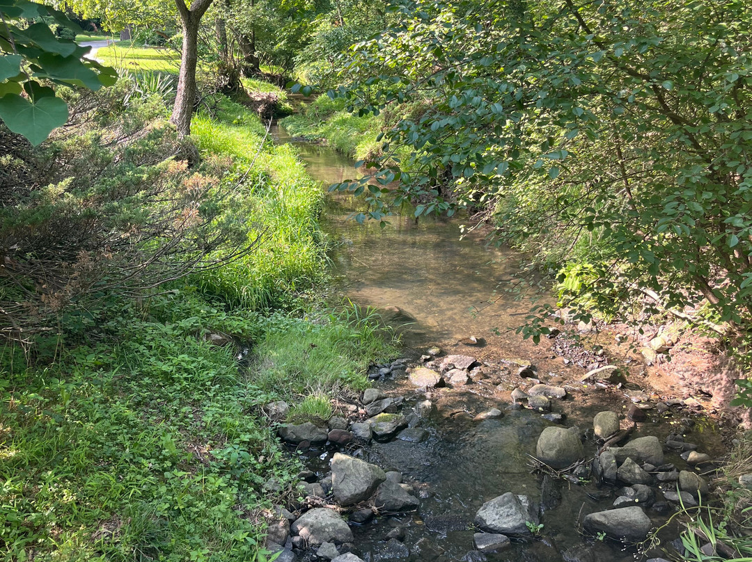 Laurelwood Arboretum景点图片