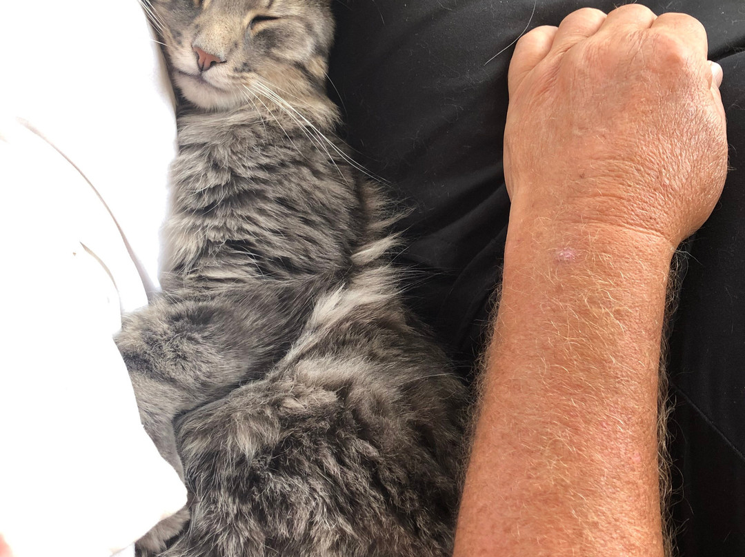 Outback Lodge and Stables主图