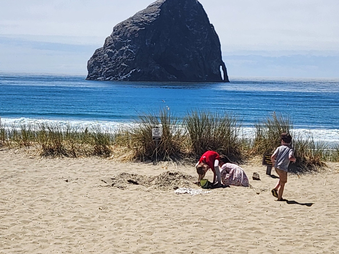 Pelican Brewing Company-太平洋城必去景点