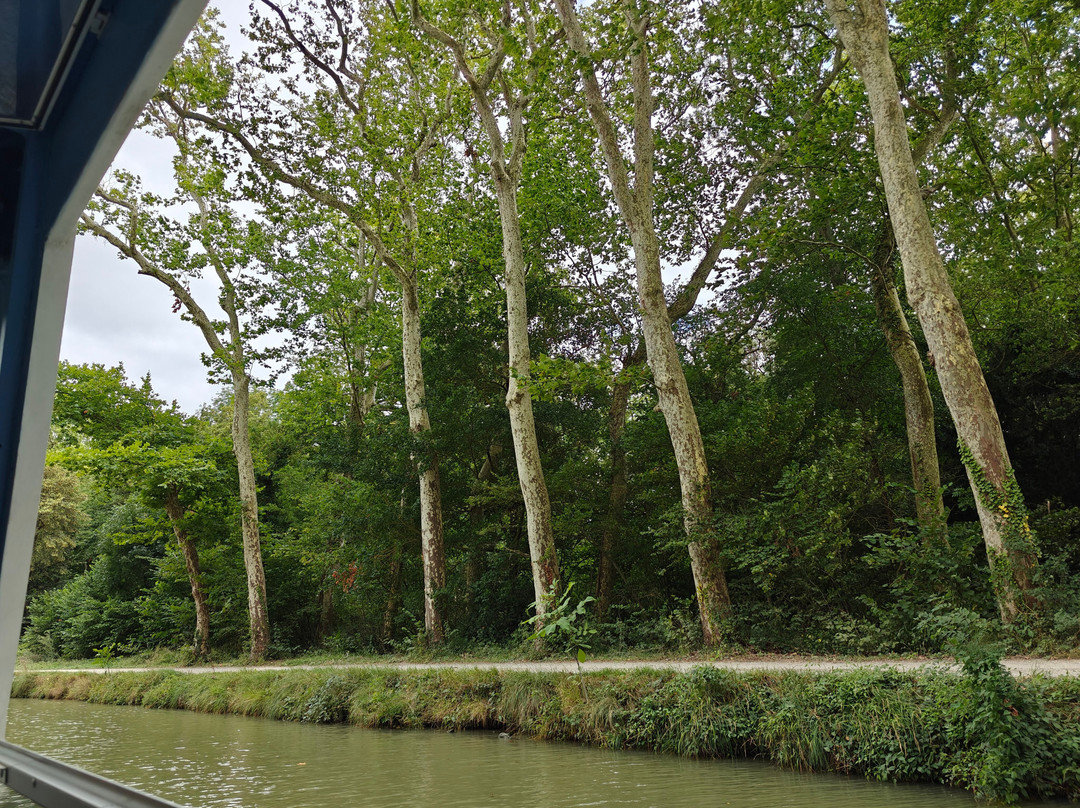 Bateau Saint Roch-Castelnaudary必去景点