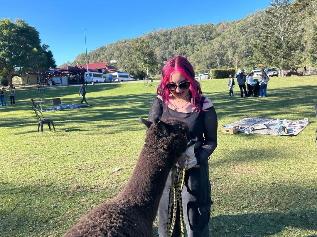 Mountview Alpaca Farm景点图片