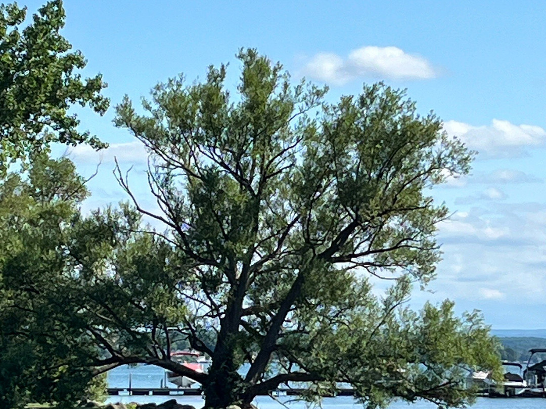 Canandaigua City Pier景点图片