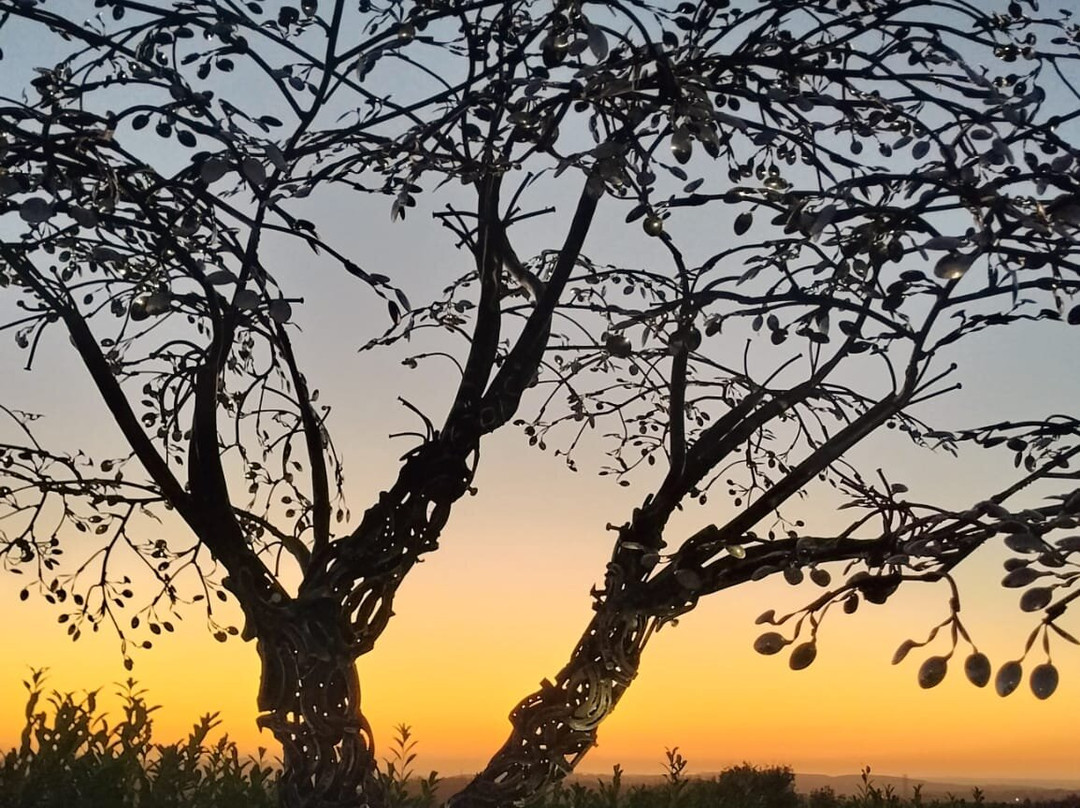 Conimbriga Hotel do Paco主图