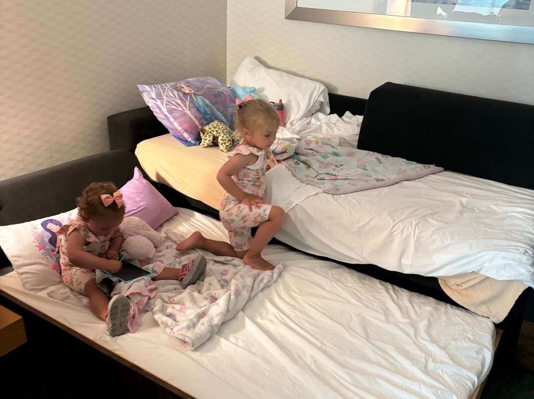 SpringHill Suites by Marriott Philadelphia Langhorne主图