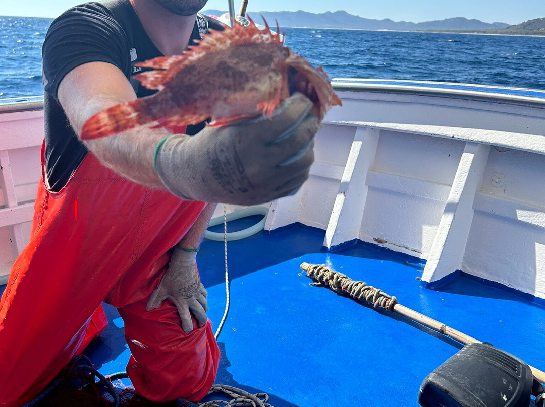 Pescaturismo Su Lo-La Caletta必去景点