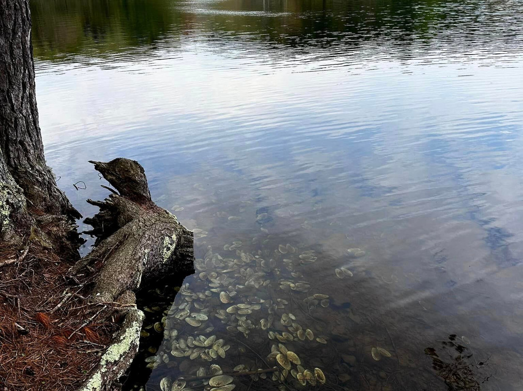 Moncove Lake State Park-Gap Mills必去景点