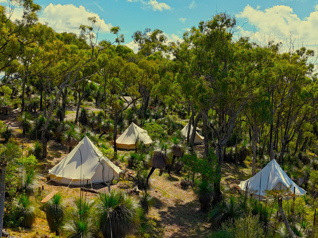 1770 Eco Camp Grass Trees