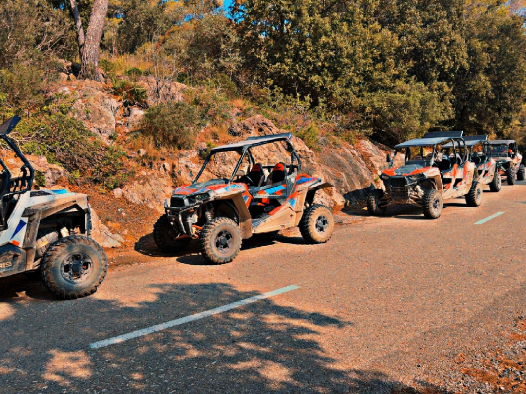 Bugs Buggy Mallorca Adventure-Cala Ratjada必去景点