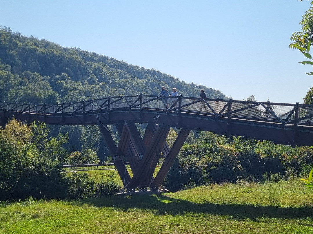 Holzbrücke Tatzlwurm景点图片