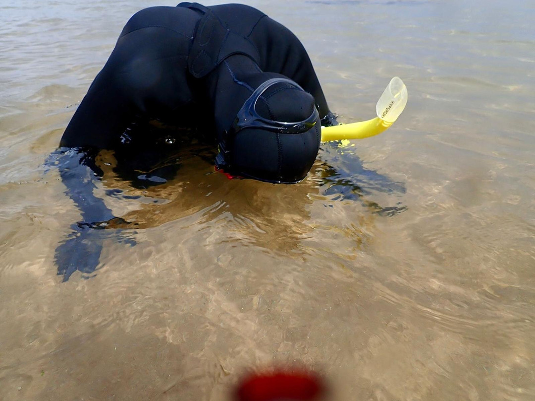 Snorkel Wild景点图片