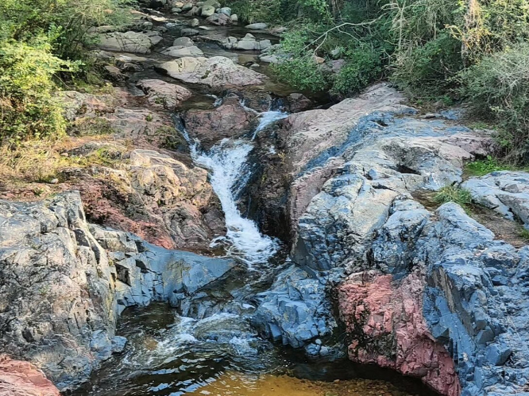 Hostal La Guineu主图