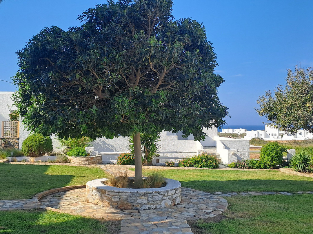 Scala Apartments and Studios主图