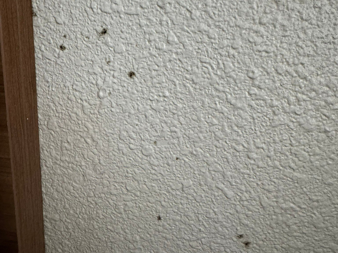 Admiral on Baltimore主图