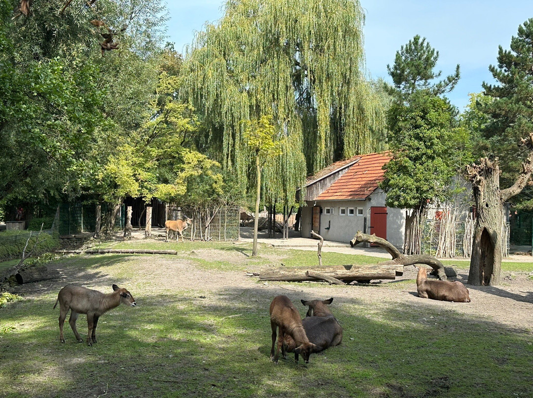 Tierpark Hamm景点图片