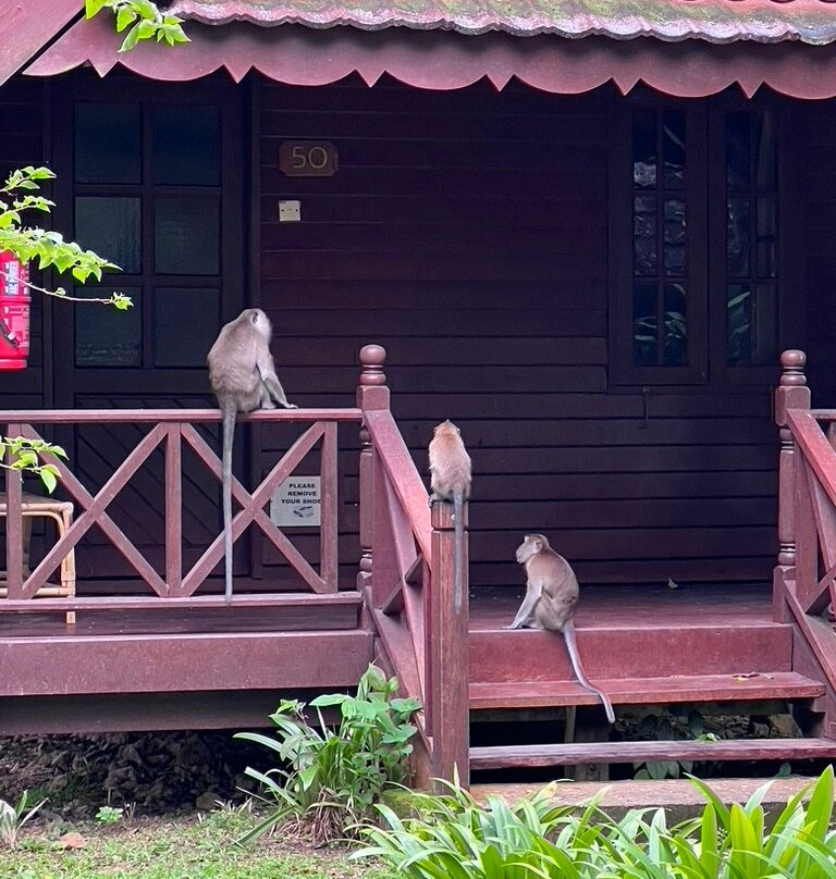 塔曼尼加拉珍珠酒店主图