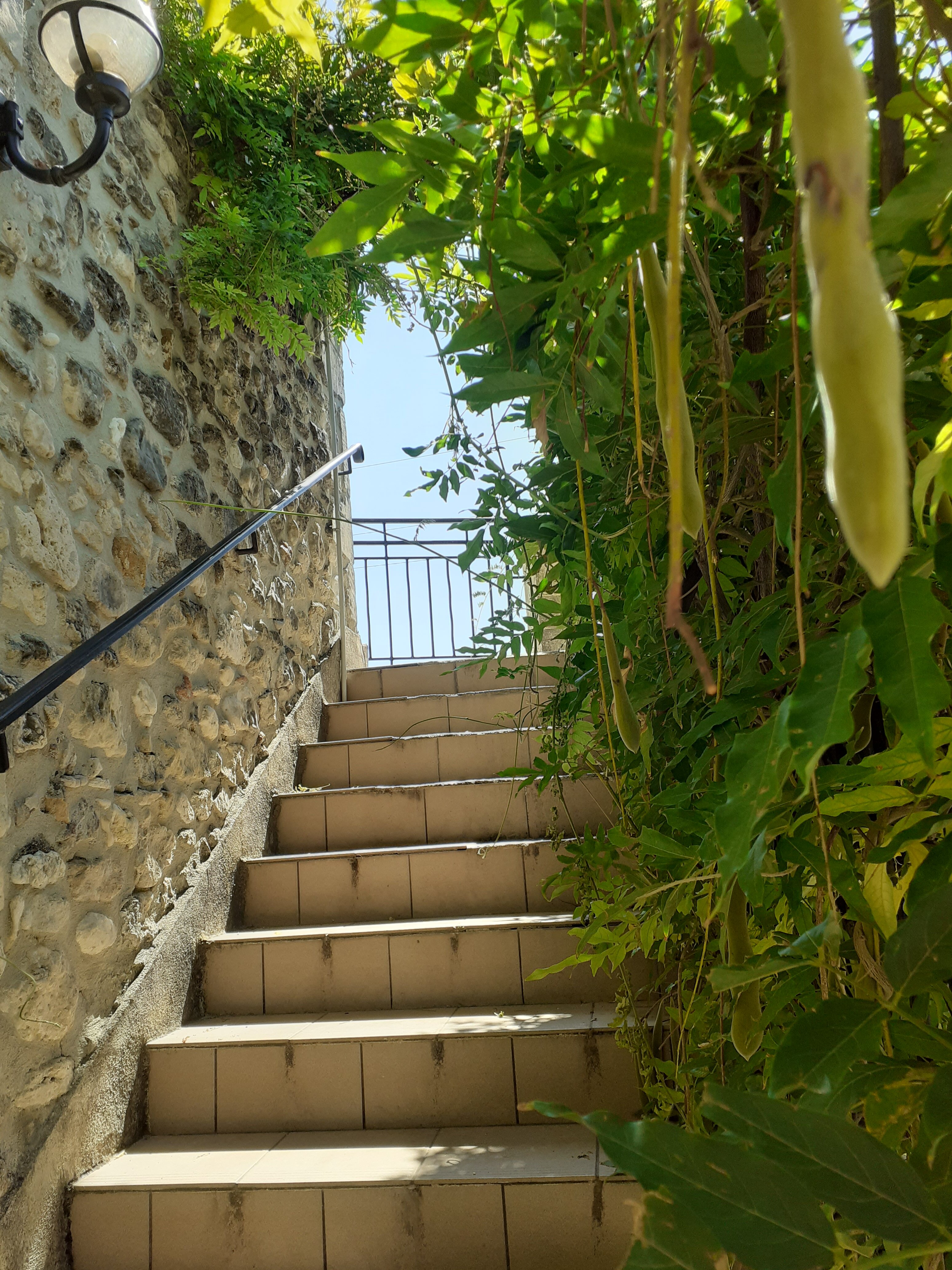 Logis Hôtel le Mas de Valaurie-官方