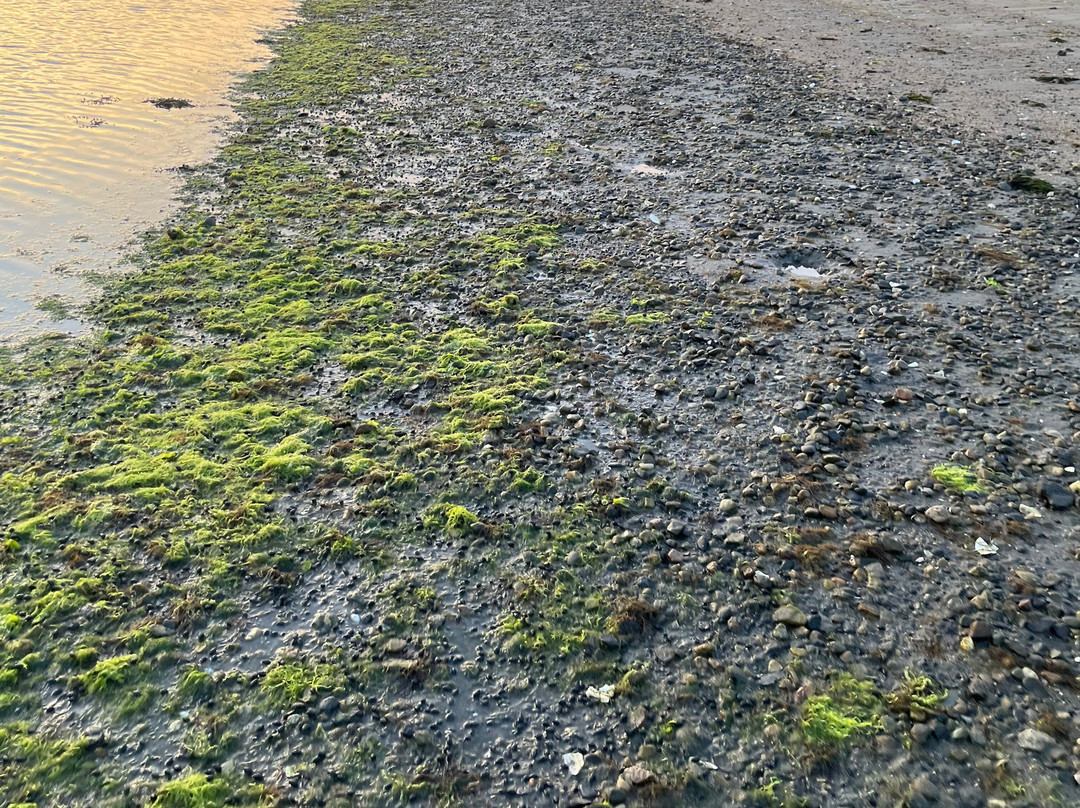 Oakland Beach-沃威克必去景点