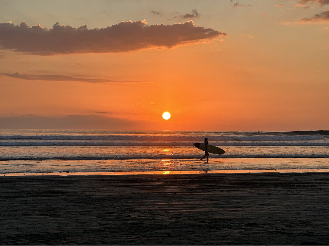 Nosara CR Surf School景点图片