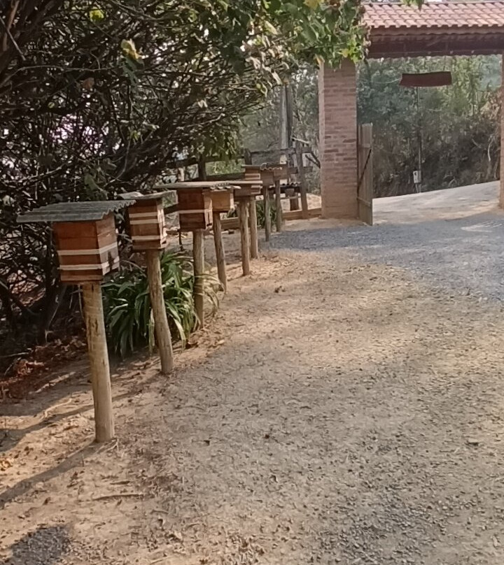 Apiário Flores da Serra-蒙特贝尔德必去景点