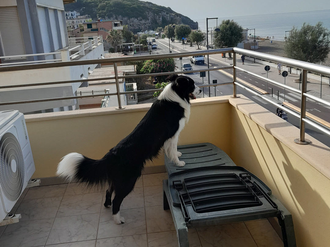 Hotel Panoramico主图
