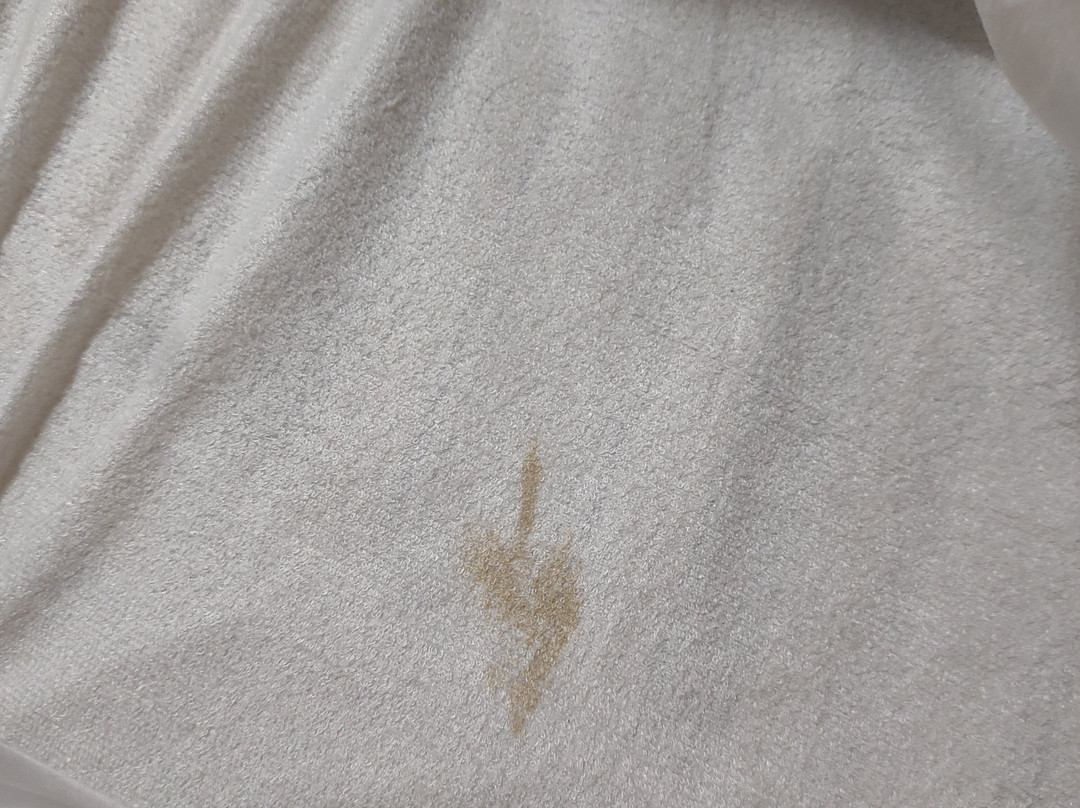 The Coach House Hotel主图