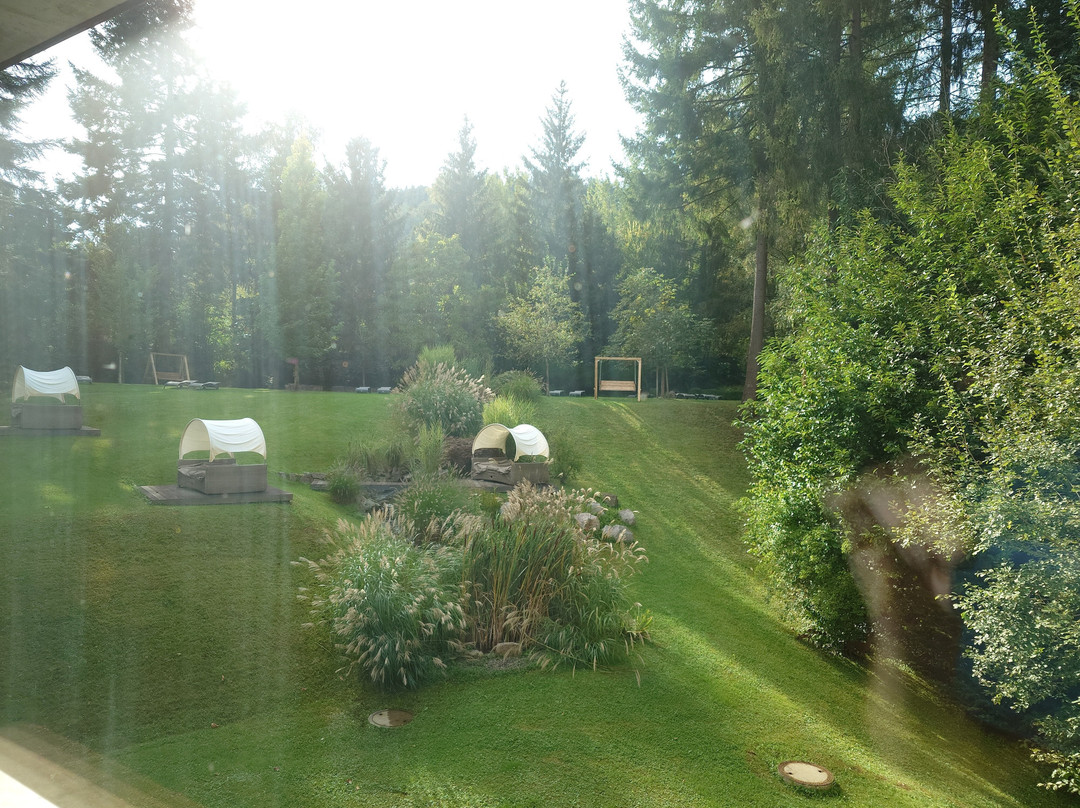 Waldhotel Grüner Baum主图