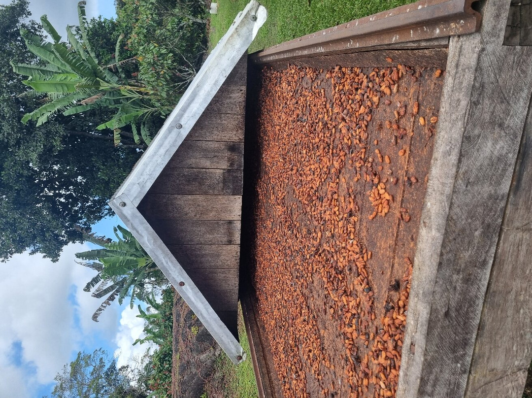Fazenda Capela Velha景点图片