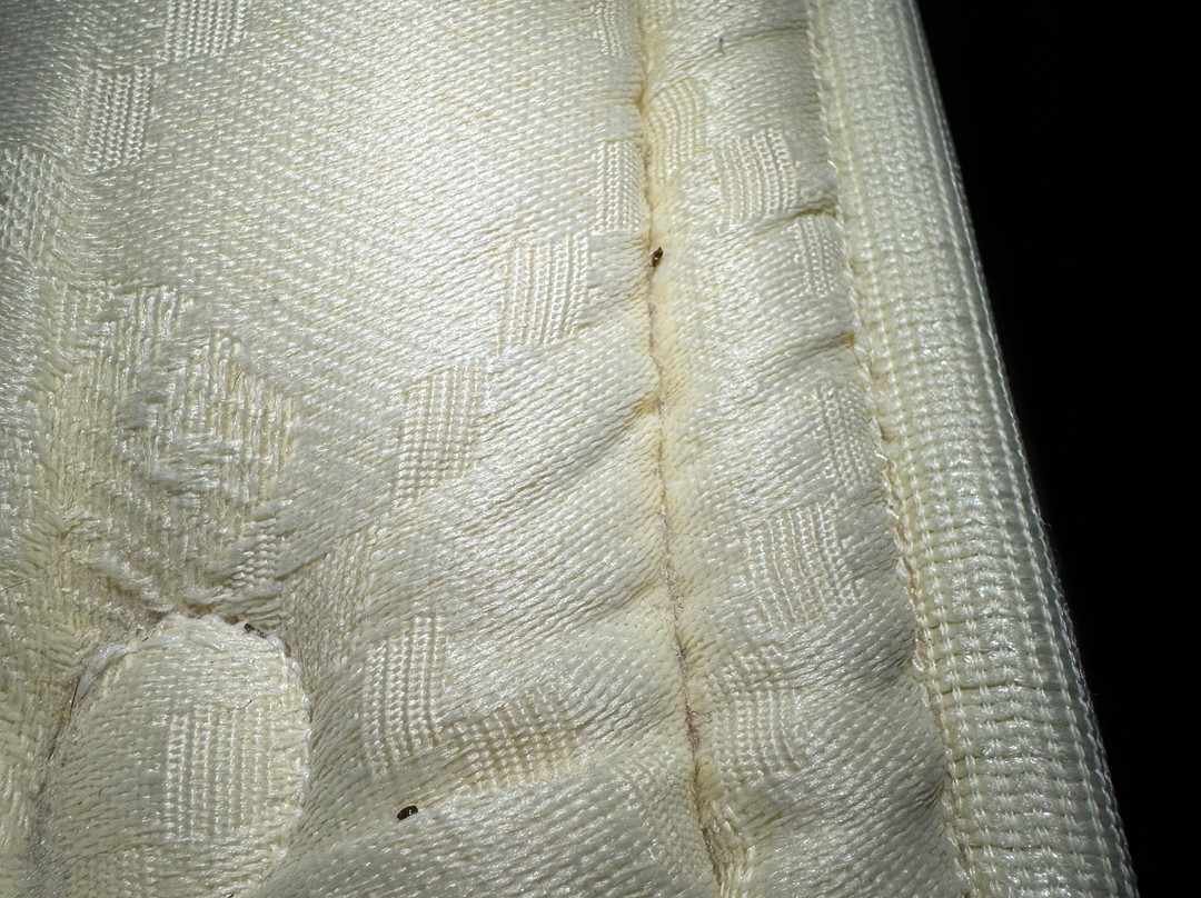 Hawthorn Suites by Wyndham Green Bay主图