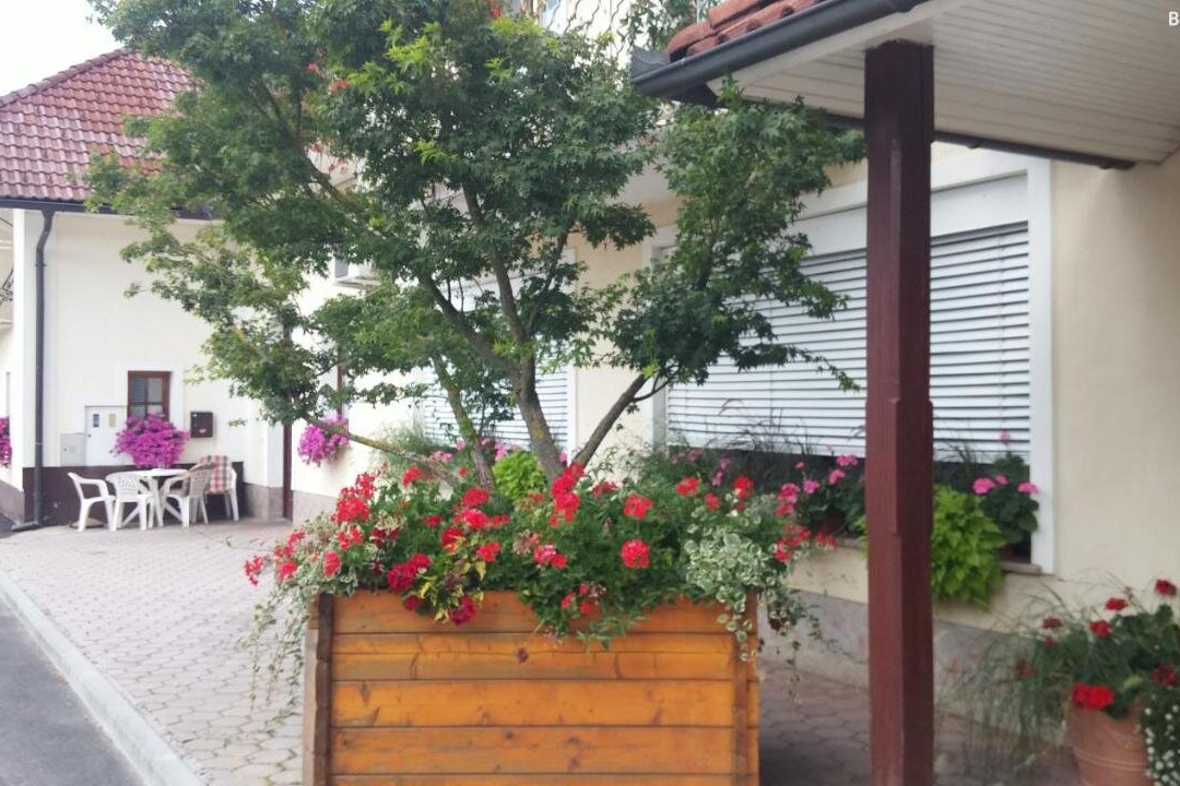 Darja Guesthouse主图