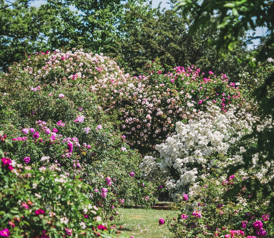 Le Jardin De Marie主图