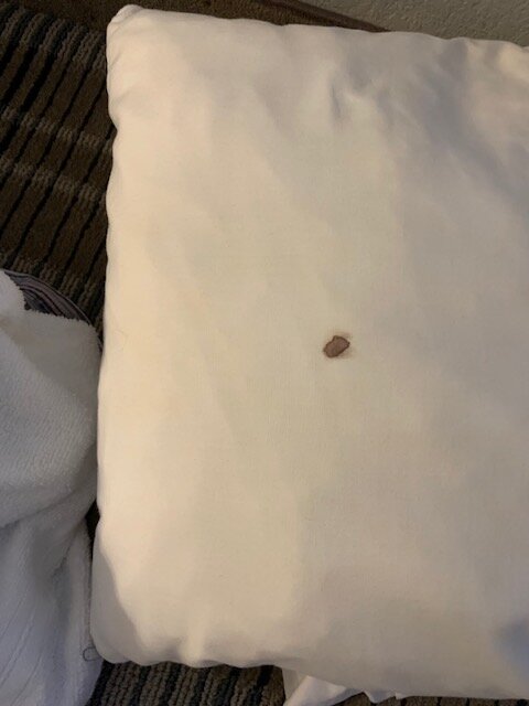 Americinn & Suites By Wyndham Baraboo Event Center-客卧