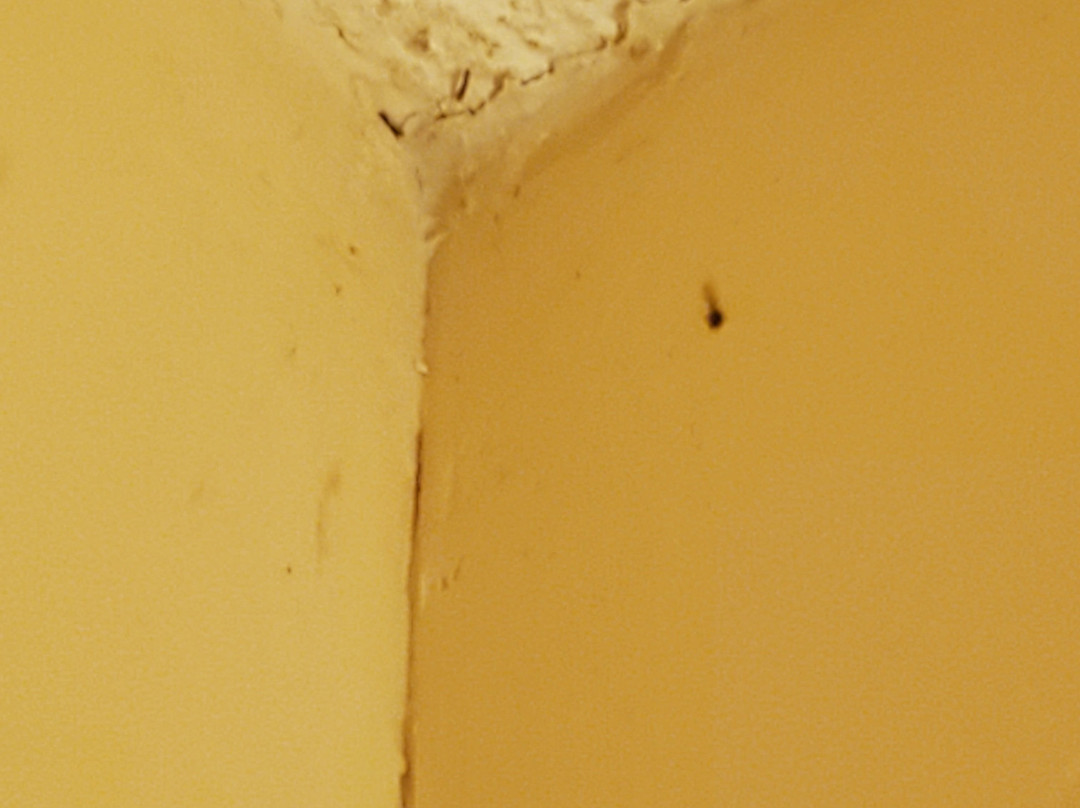 Bonnie Castle Resort & Marina主图