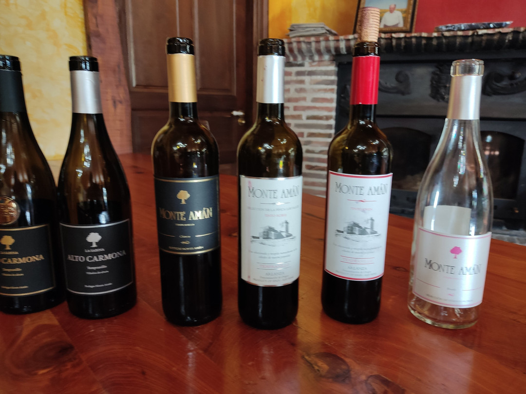 Bodegas Monte Aman S.l.景点图片