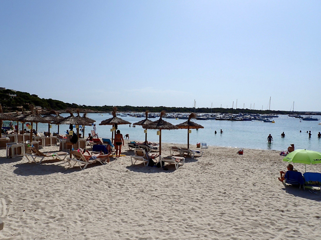 Playa Es Port景点图片