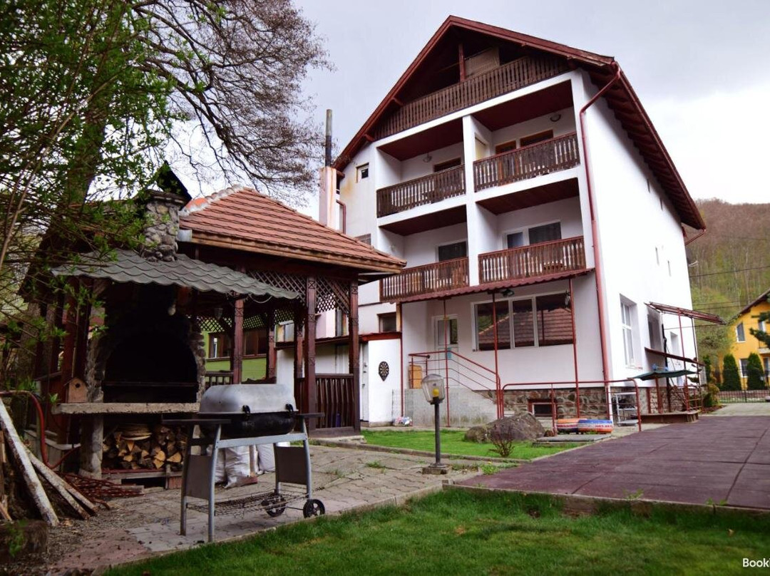 Pensiunea Arinul主图