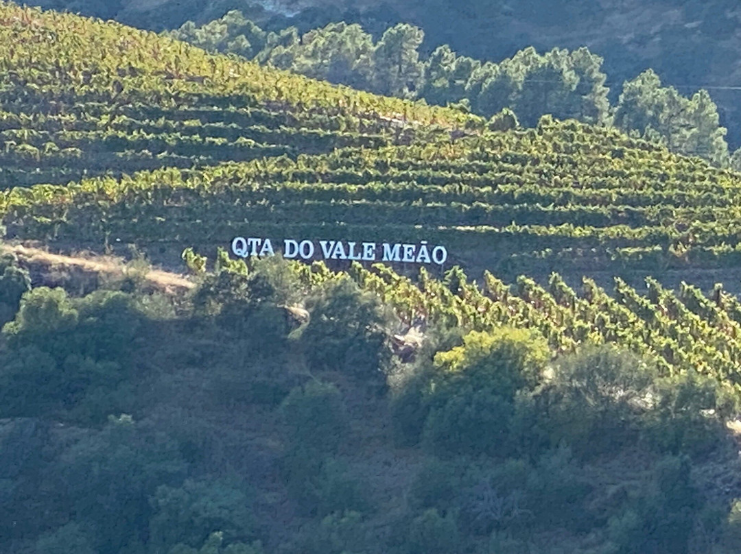 Quinta do Vale Meao景点图片