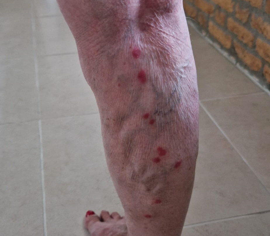 Gast- und Weinhof Beim Schneemann主图