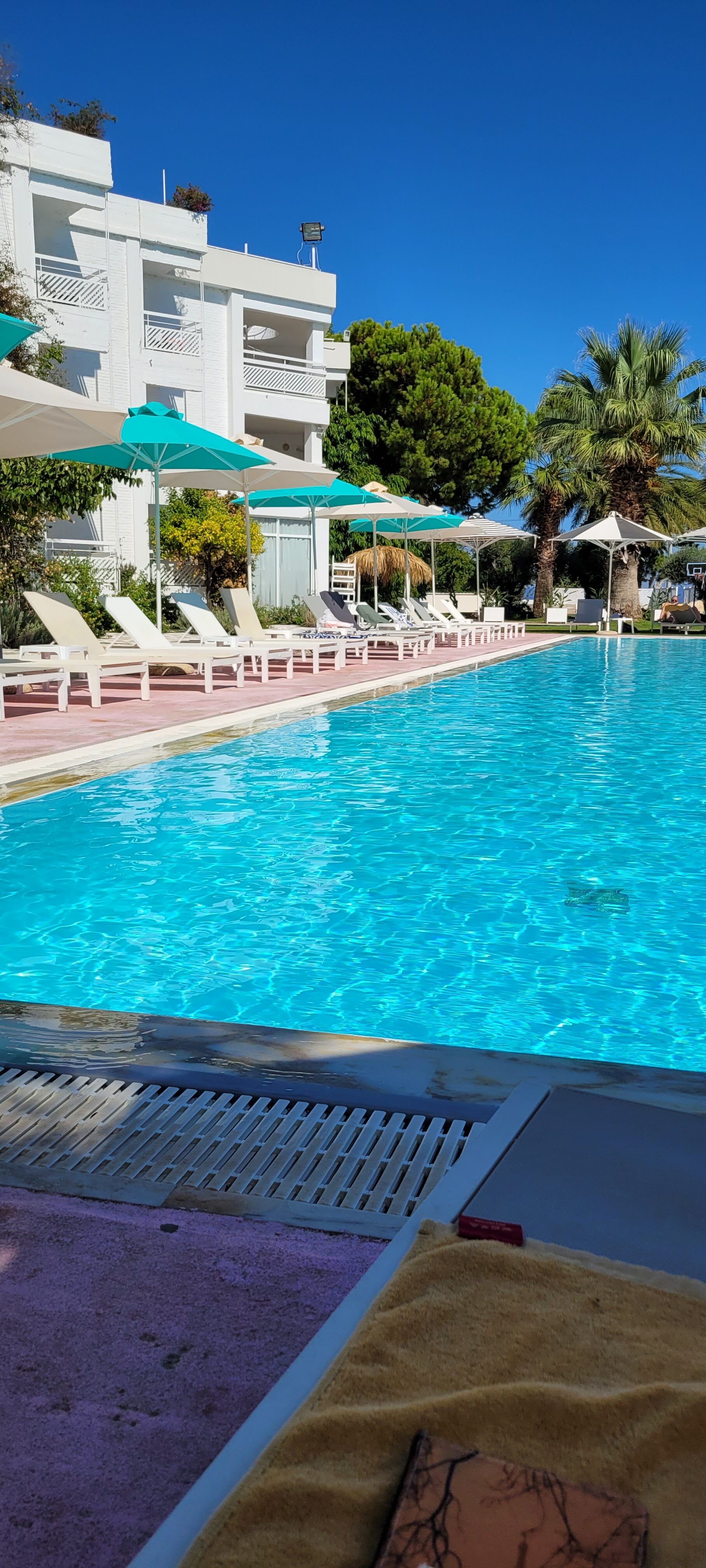 Marathon Beach Resort-官方