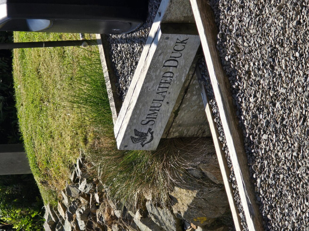 Boomrock-惠灵顿必去景点