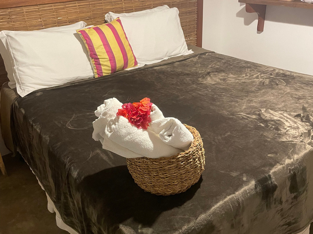 Pousada Nativa主图