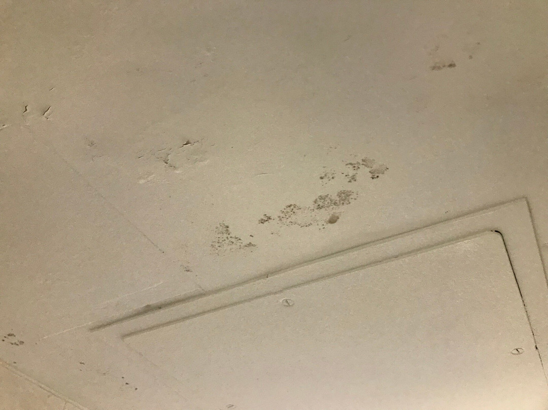 贝斯特韦斯特普勒斯商业街廊旅馆&套房酒店主图