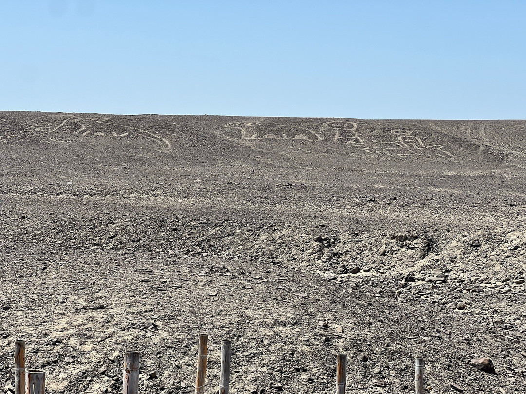 Torre Mirador de Las Lines de Nasca-纳斯卡必去景点