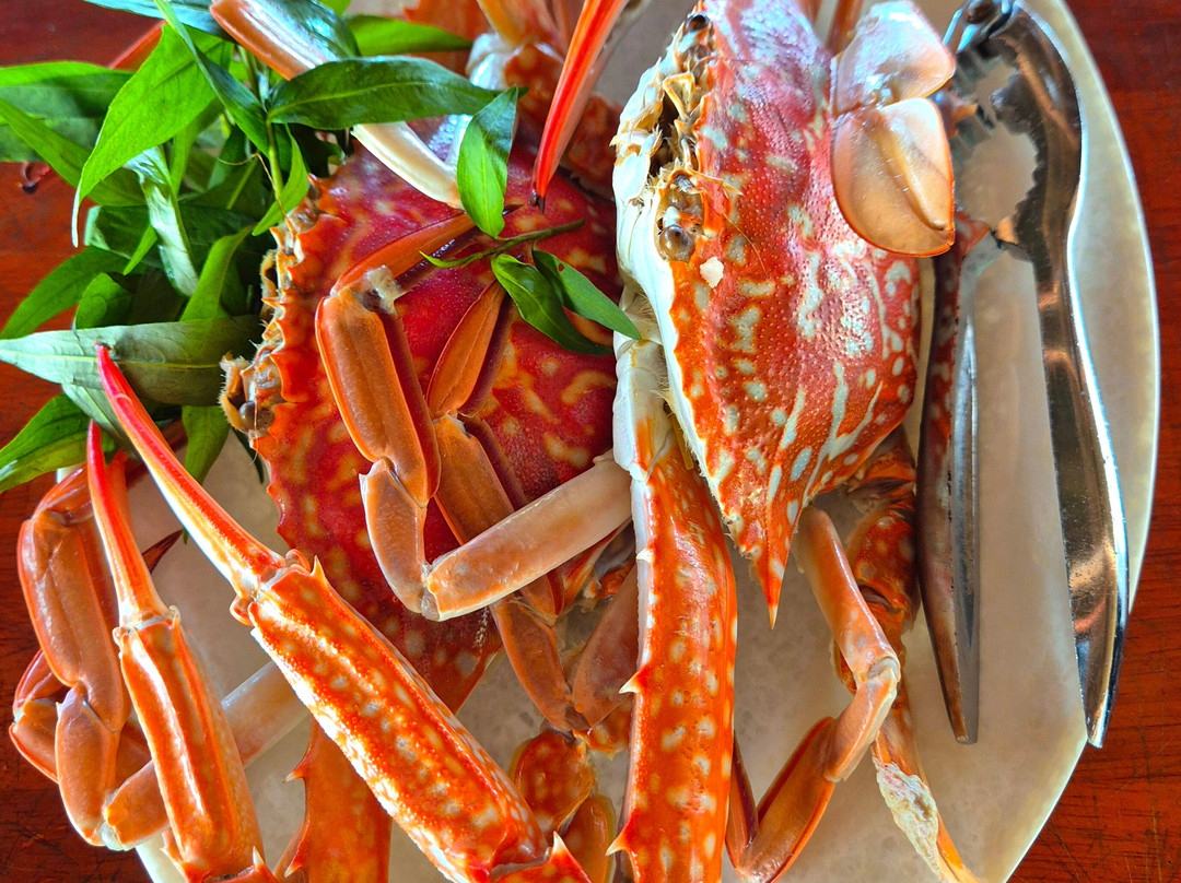 Bãi Biển Hồ Tràm-Ho Tram必去景点