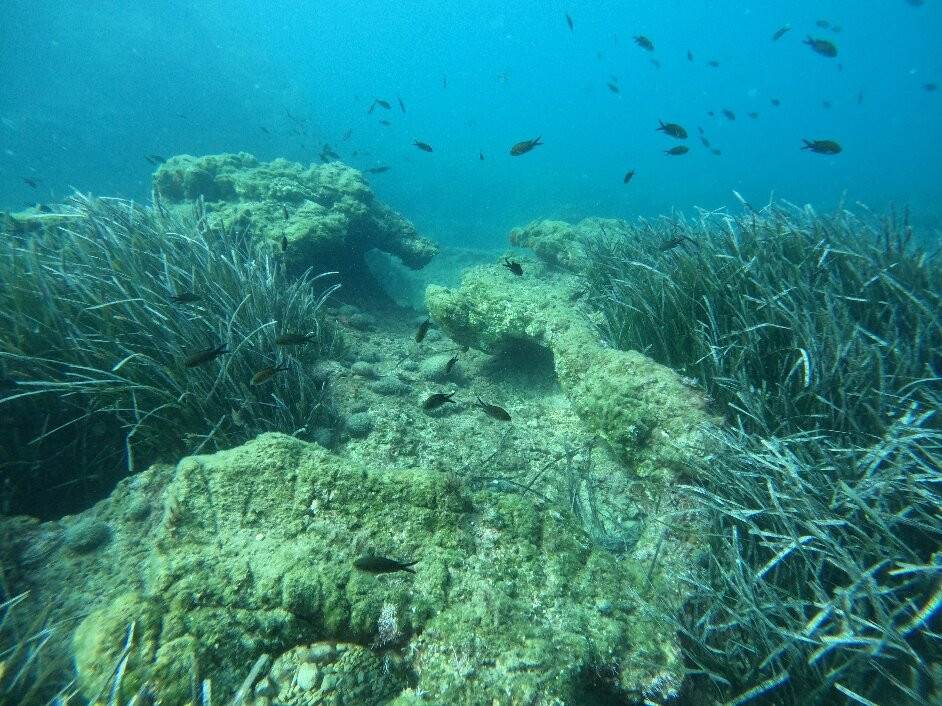 Dive Easy-Acharavi必去景点