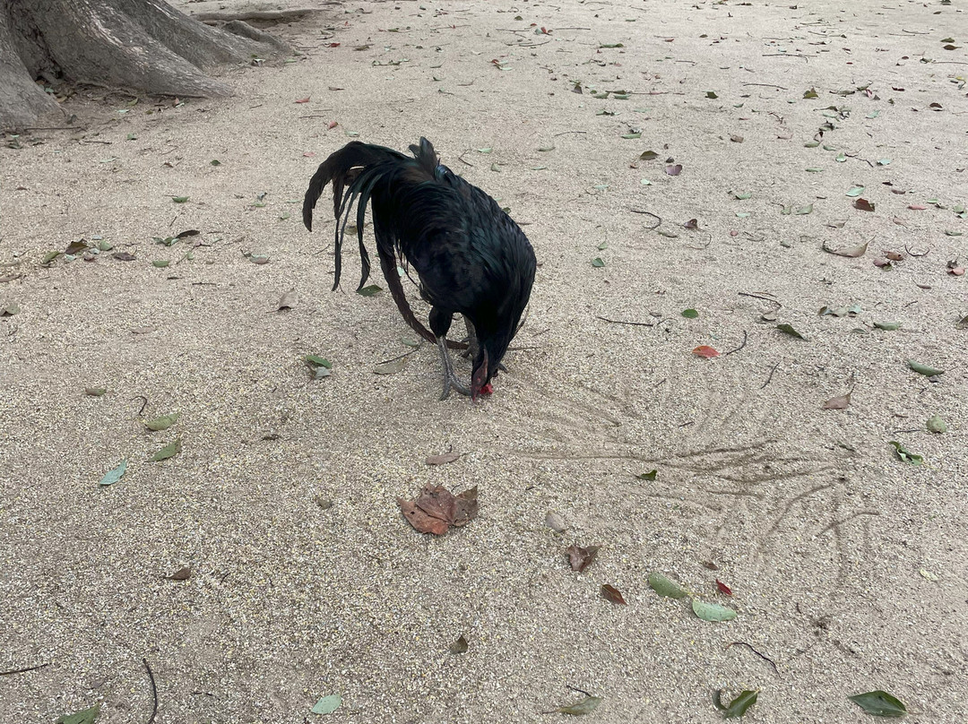 Tamanooya Shrine-防府市必去景点