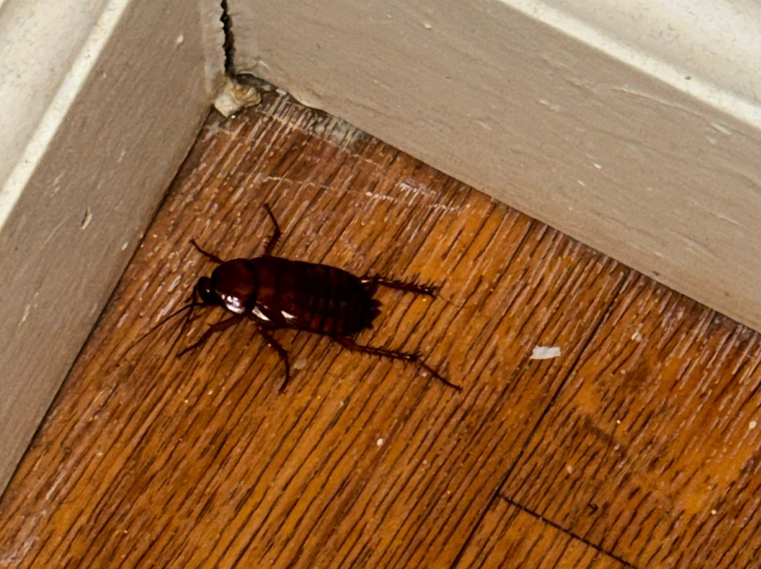 TownePlace Suites by Marriott Alexandria主图