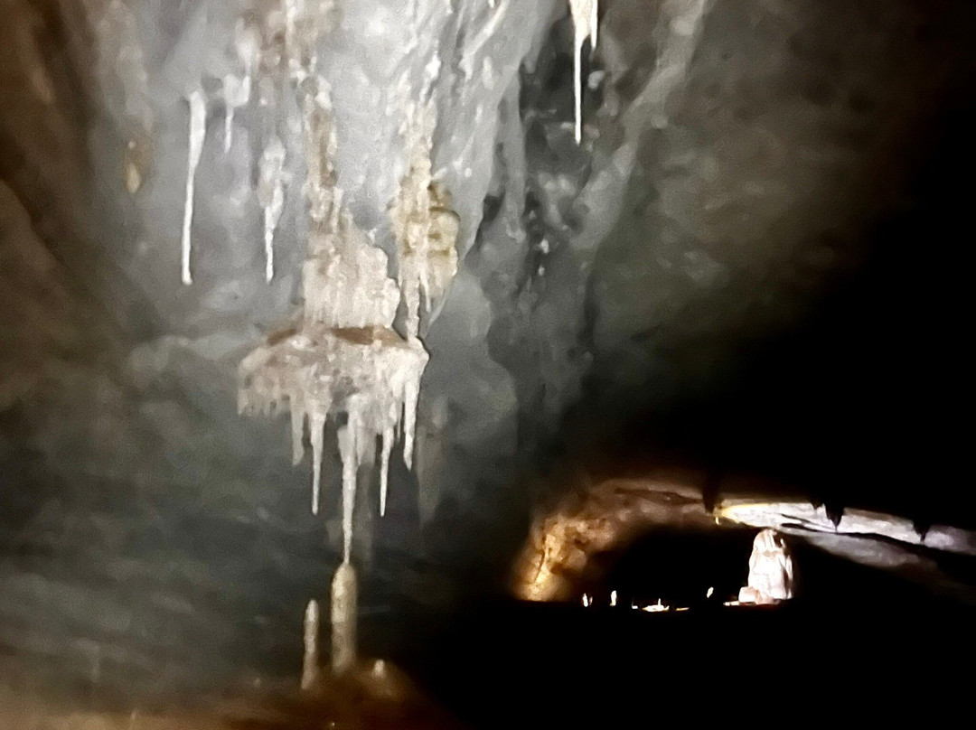 Parque da Muritiba-雷恩克斯必去景点