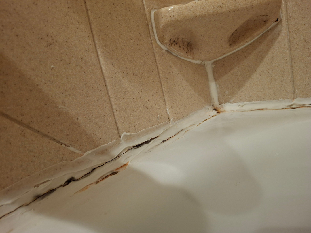 富兰克林希尔顿恒庭酒店主图