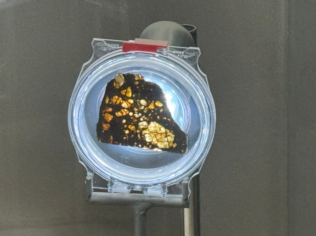 Museo del Meteorito景点图片